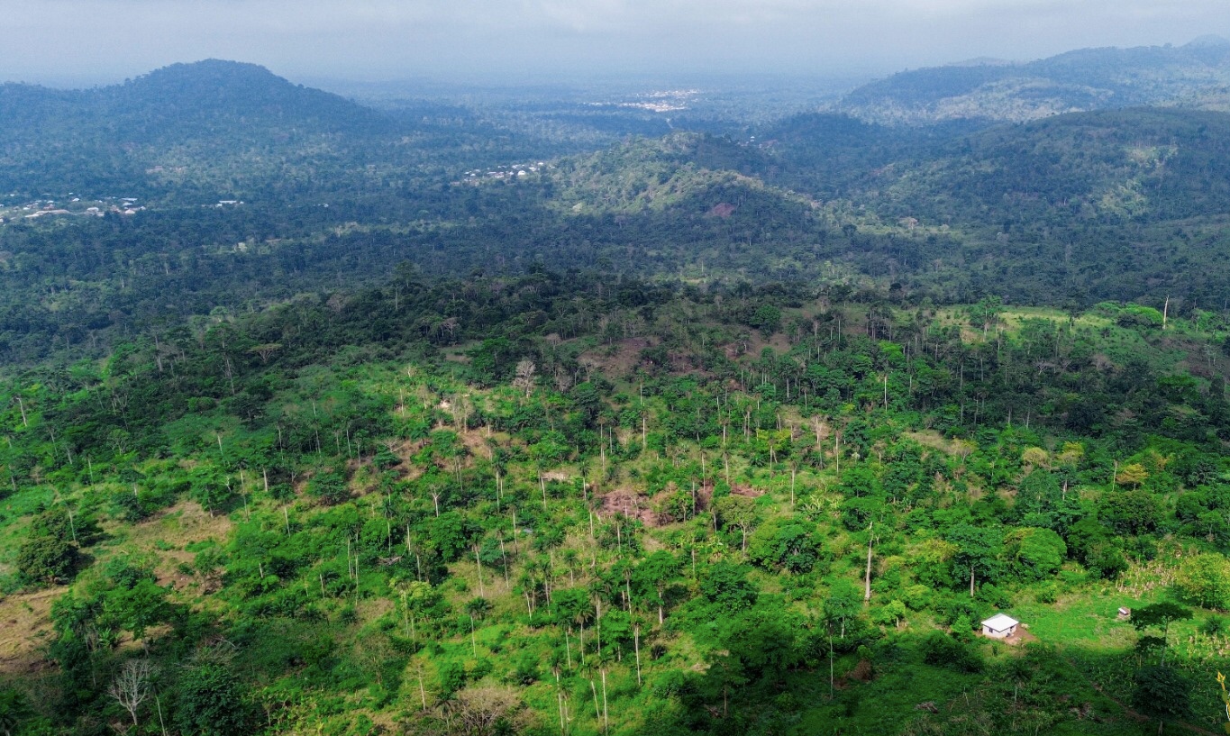 Climate Action